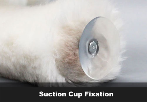 Suction Cup Fixation | Toy for Dogs Males