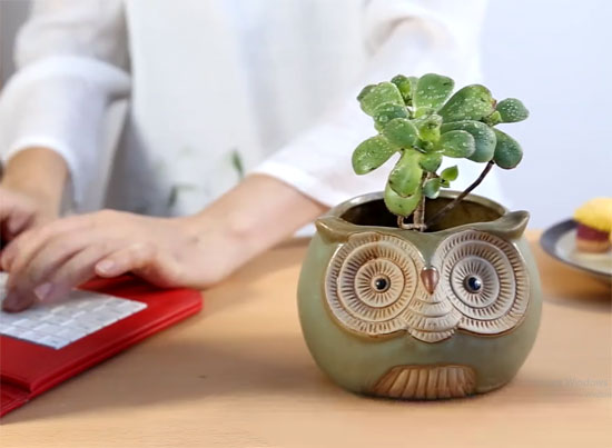 A flower pot is an unusual gift for a teacher
