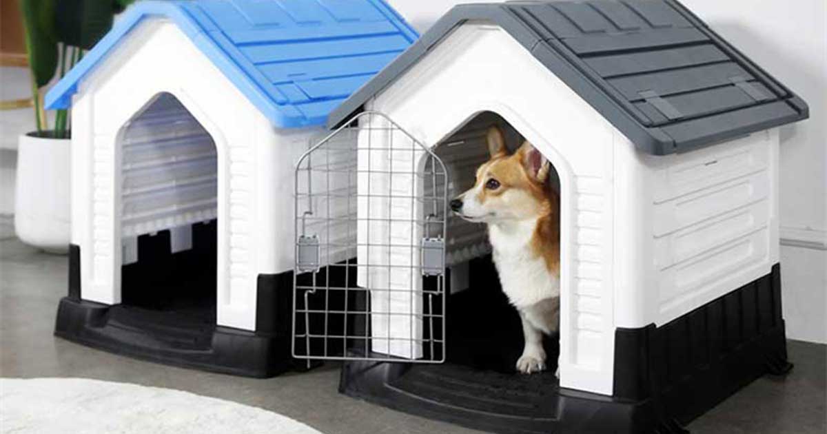 Houses for dogs and cats